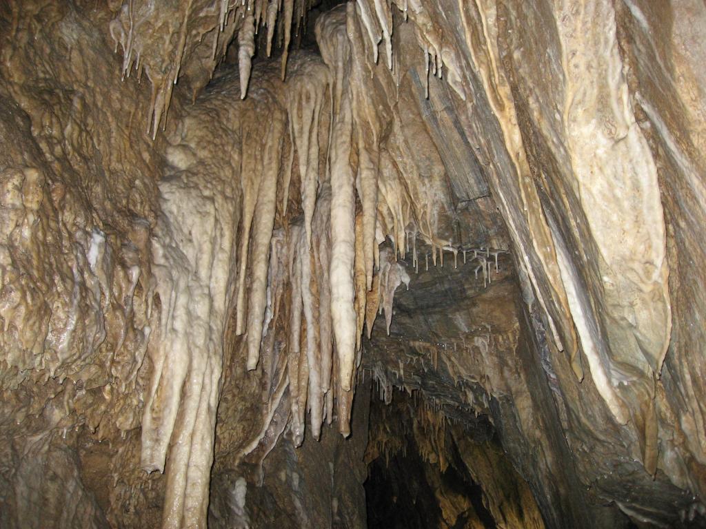 Ягодинска пещера - млада според спец-ти прибл. на250 хил.г.